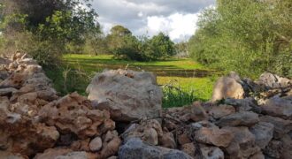 Plot of Land 442.000 €