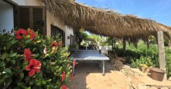 CASA DE CAMPO CON MUCHO CARÁCTER Y LICENCIA TURÍSTICA, ENTRE CALA D´OR Y CALONGE