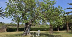 CASA DE CAMPO CON MUCHO CARÁCTER Y LICENCIA TURÍSTICA, ENTRE CALA D´OR Y CALONGE
