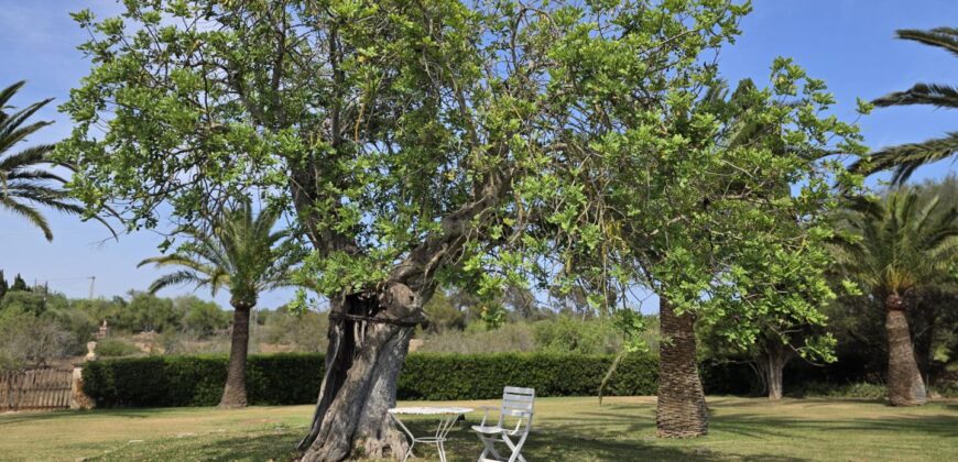 CASA DE CAMPO CON MUCHO CARÁCTER Y LICENCIA TURÍSTICA, ENTRE CALA D´OR Y CALONGE