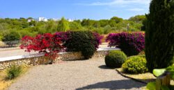 STUNNING GROUNDFLOOR APARTMENT 349.900€
