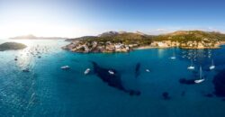 OUTSTANDING NEW DEVELOPMENT BUILT BY TAYLOR WIMPEY IN SANT ELM FROM 790.000€