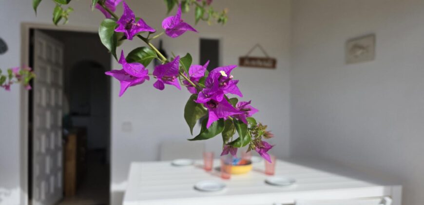 STUNNING IBICENCAN VILLA 2ND LINE TO THE SEA 699.500€