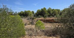 COMMERCIAL BUILDING PLOT IN PRIME LOCATION CALA EGOS