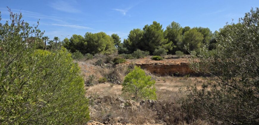 COMMERCIAL BUILDING PLOT IN PRIME LOCATION CALA EGOS
