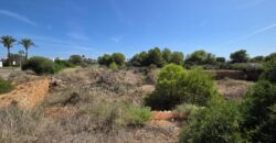 COMMERCIAL BUILDING PLOT IN PRIME LOCATION CALA EGOS