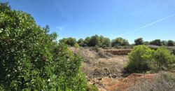 COMMERCIAL BUILDING PLOT IN PRIME LOCATION CALA EGOS