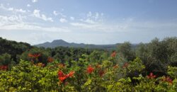 CHARMING COUNTRY HOUSE IN THE HILLS OF SON PROHENS CHARMING COUNTRY HOUSE IN THE HILLS OF SON PROHENS