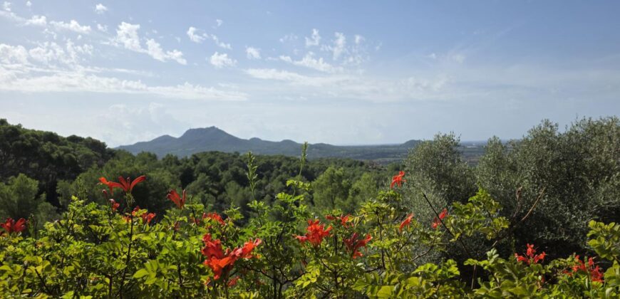 CHARMING COUNTRY HOUSE IN THE HILLS OF SON PROHENS CHARMING COUNTRY HOUSE IN THE HILLS OF SON PROHENS