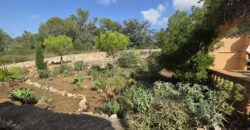 CHARMING COUNTRY HOUSE IN THE HILLS OF SON PROHENS CHARMING COUNTRY HOUSE IN THE HILLS OF SON PROHENS