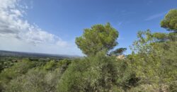 CHARMING COUNTRY HOUSE IN THE HILLS OF SON PROHENS CHARMING COUNTRY HOUSE IN THE HILLS OF SON PROHENS