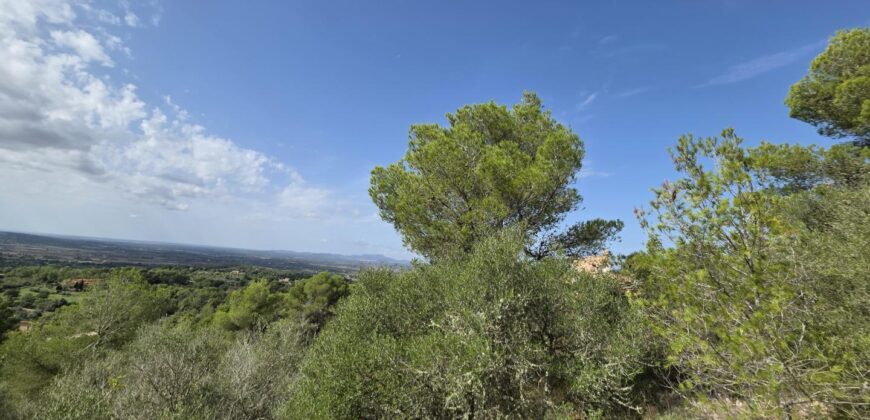 CHARMING COUNTRY HOUSE IN THE HILLS OF SON PROHENS CHARMING COUNTRY HOUSE IN THE HILLS OF SON PROHENS