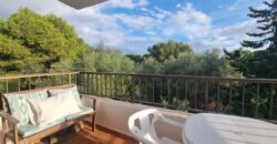 CHARMANTES STUDIO ZUR SAISONVERMIETUNG, CALA D´OR