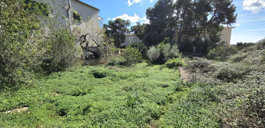 EXCEPTIONAL URBAN PLOT FOR SALE, S´ALQUERÍA BLANCA