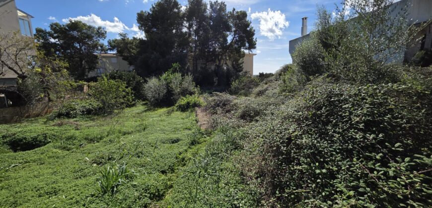 AUSSERGEWÖHNLICHES BAUGRUNDSTÜCK ZU VERKAUFEN, S´ALQUERÍA BLANCA