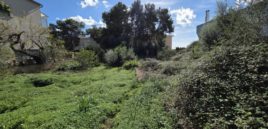 EXCEPTIONAL URBAN PLOT FOR SALE, S´ALQUERÍA BLANCA