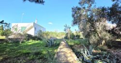 EXCEPTIONAL URBAN PLOT FOR SALE, S´ALQUERÍA BLANCA