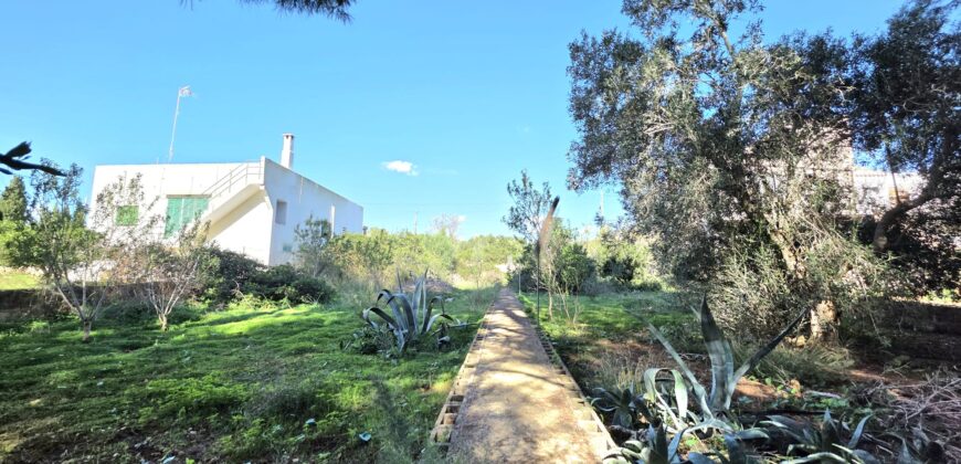 EXCEPTIONAL URBAN PLOT FOR SALE, S´ALQUERÍA BLANCA