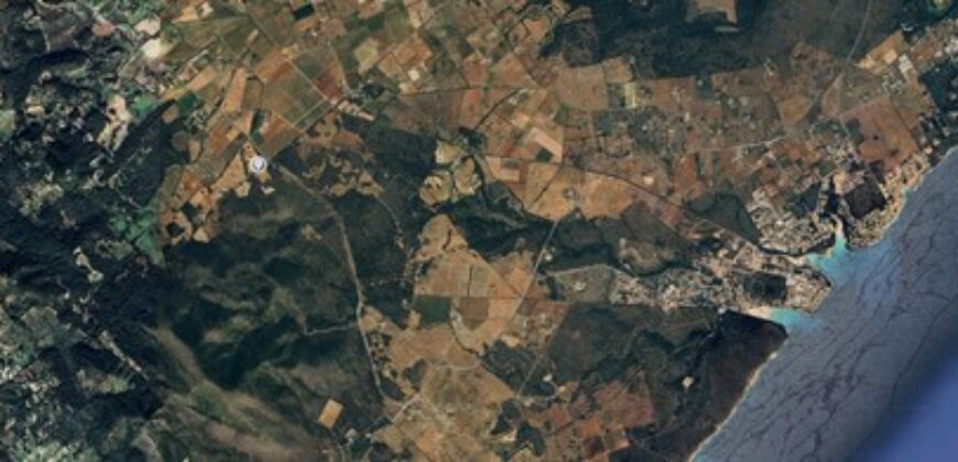 TERRENO RÚSTICO CON PROYECTO DE CONSTRUCCIÓN, MANACOR