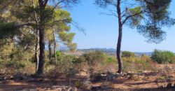 TERRENO RÚSTICO CON PROYECTO DE CONSTRUCCIÓN, MANACOR
