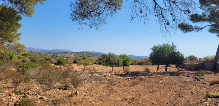 TERRENO RÚSTICO CON PROYECTO DE CONSTRUCCIÓN, MANACOR
