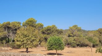 TERRENO RÚSTICO CON PROYECTO DE CONSTRUCCIÓN, MANACOR