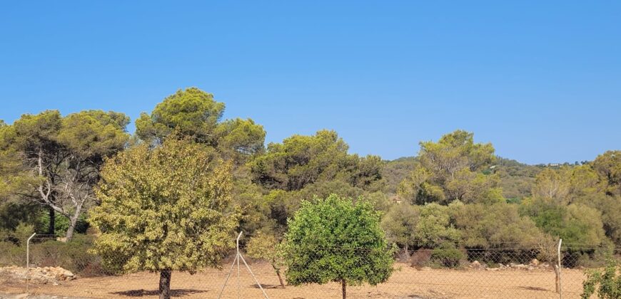 TERRENO RÚSTICO CON PROYECTO DE CONSTRUCCIÓN, MANACOR