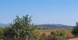 TERRENO RÚSTICO CON PROYECTO DE CONSTRUCCIÓN, MANACOR