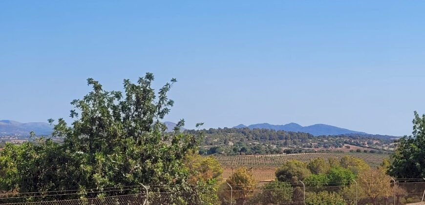 TERRENO RÚSTICO CON PROYECTO DE CONSTRUCCIÓN, MANACOR