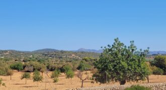RUSTIC LAND WITH HOUSE BUILDING PROJECT, MANACOR
