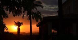 STUNNING COUNTRY HOUSE WITH GUEST APARTMENT IN A PEACEFUL LOCATION CLOSE TO MANACOR