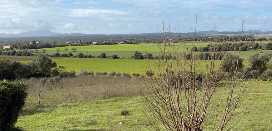 STUNNING COUNTRY HOUSE WITH GUEST APARTMENT IN A PEACEFUL LOCATION CLOSE TO MANACOR
