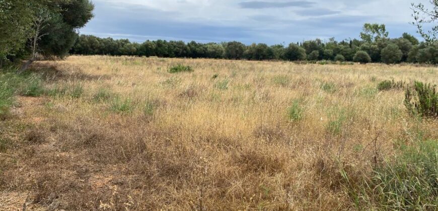 BUILDING PLOT FOR A COUNTRY HOUSE FELANITX – SON MESQUIDA 360.000€