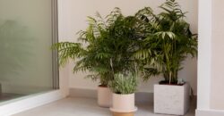 FULLY RENOVATED APARTMENT FOR SALE, SON ESPANYOLET, PALMA