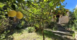 CHARMING MALLORCAN-STYLE VILLA, PORTOPETRO 799.500€