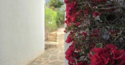 CHARMING GROUND-FLOOR APARTMENT WITH SEA VIEWS, CALA FERRERA 340.000€