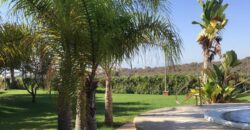 BRIGHT APARTMENT WITH STUNNING VIEWS, CALA DOMINGOS 379.000€