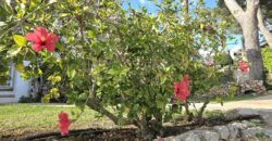 CHARMING GROUND-FLOOR APARTMENT WITH SEA VIEWS, CALA FERRERA 340.000€