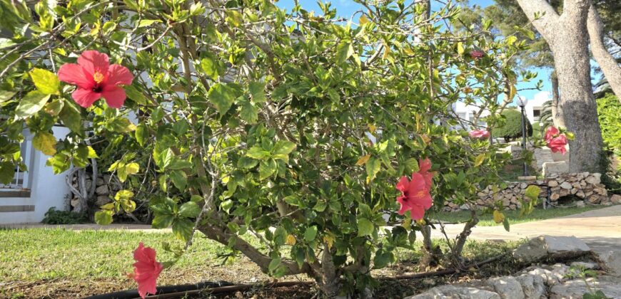 CHARMING GROUND-FLOOR APARTMENT WITH SEA VIEWS, CALA FERRERA 340.000€