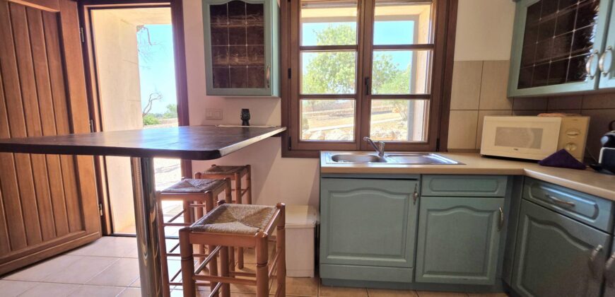 CHARMING AND AUTHENTIC MALLORCAN COUNTRY HOUSE