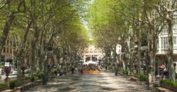 EXCLUSIVE DEVELOPMENT OF 12 NEW-BUILD HOMES, PALMA DE MALLORCA