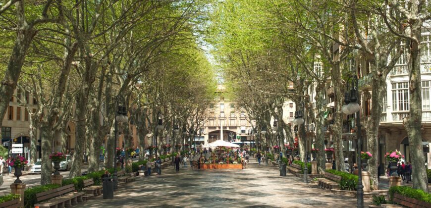 EXCLUSIVE DEVELOPMENT OF 12 NEW-BUILD HOMES, PALMA DE MALLORCA