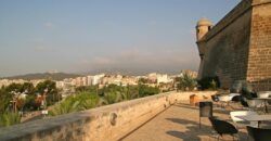 EXCLUSIVE DEVELOPMENT OF 12 NEW-BUILD HOMES, PALMA DE MALLORCA