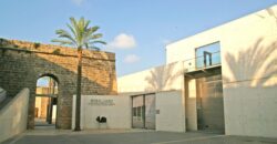 EXCLUSIVE DEVELOPMENT OF 12 NEW-BUILD HOMES, PALMA DE MALLORCA