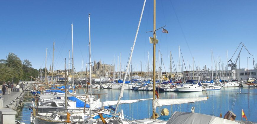 EXCLUSIVE DEVELOPMENT OF 12 NEW-BUILD HOMES, PALMA DE MALLORCA